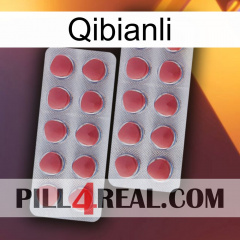 Qibianli 19